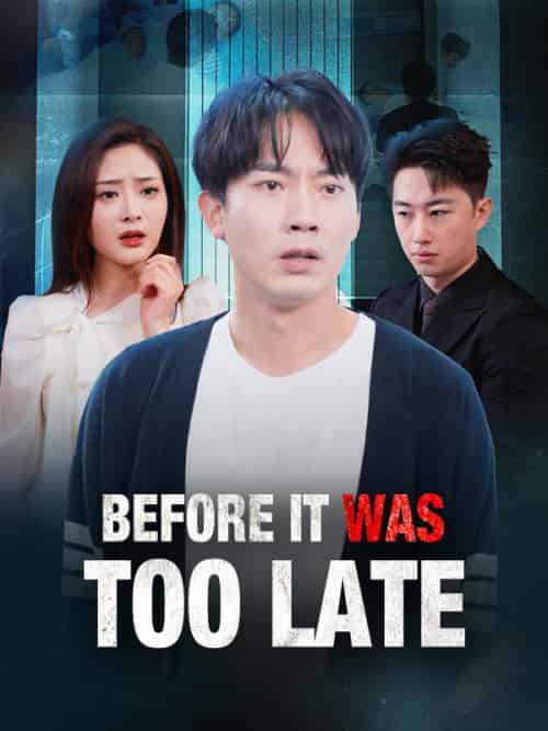 Before It Was Too Late（31集全）Bryan＆Lane＆＆Mona＆Scott - 海之城海外短剧