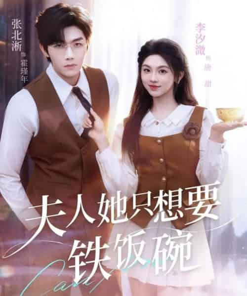 夫人她只想要铁饭碗（60集全）李汐溦＆张北淅-海之城短剧项目