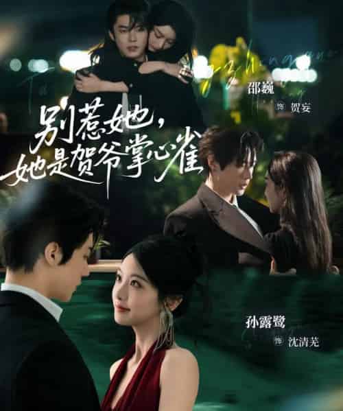 别惹她，她是贺爷掌心雀（69集全）邵巍＆孙露鹭-海之城短剧项目