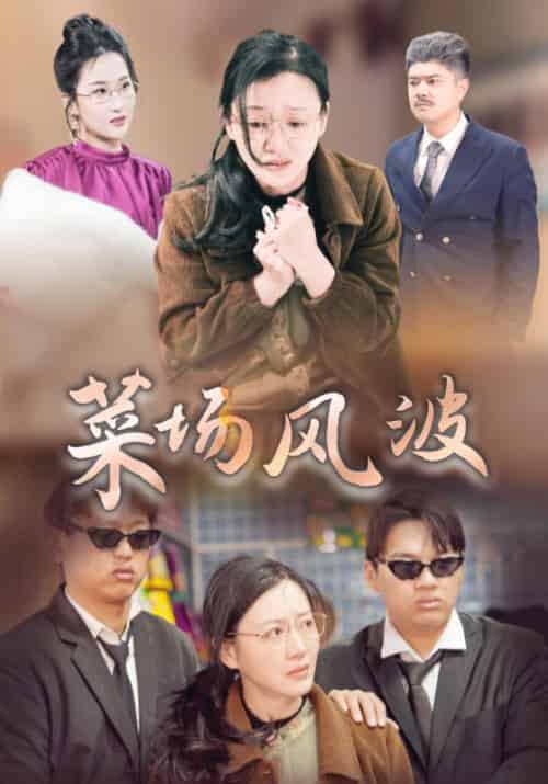 菜场风波（35集全）孙志忠＆李箐华 - 海之城短剧