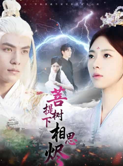 菩提树下相思烬（63集全）文渊＆崔一梁-海之城短剧项目