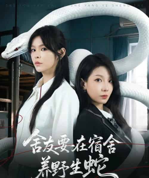 舍友要在宿舍养野生蛇（60集）邓诗韵＆朱晓彤 - 海之城短剧
