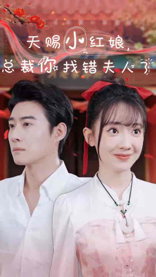 天赐小红娘总裁你找错夫人了（65集全）赵振栋 - 海之城短剧