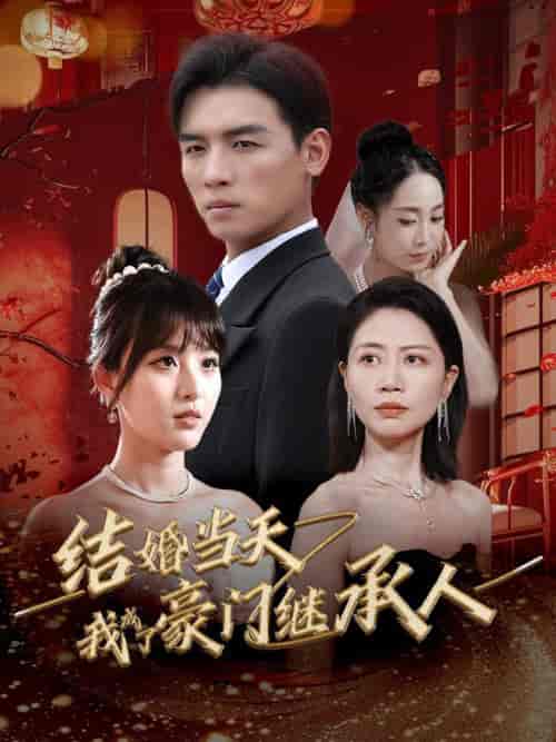 结婚当天我成了豪门继承人（53集全） - 海之城短剧