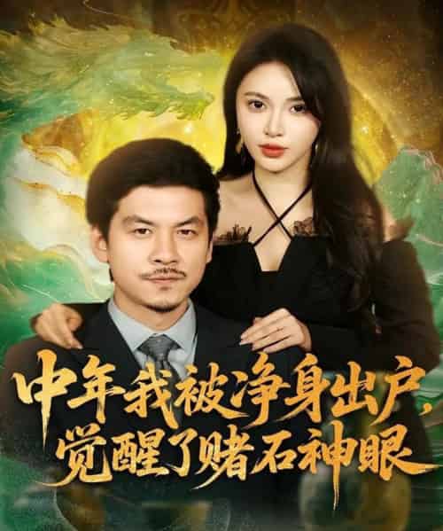 中年我被净身出户，觉醒了赌石神眼（80集全）柯珂（柯以）＆王辉-海之城短剧项目