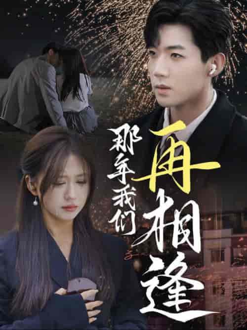 那年我们再相逢（65集全）张北淅＆柴慧欣 - 海之城短剧