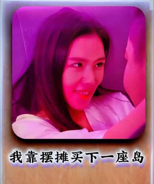 我靠摆摊买下一座岛 （80集） - 海之城短剧