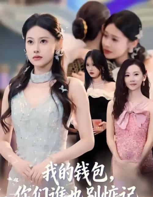 我的钱包，你们谁也别惦记（56集全）李尤＆赵姝闻-海之城短剧项目