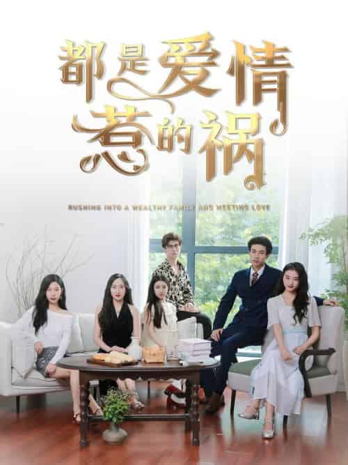 都是爱情惹的祸（76集全） - 海之城短剧