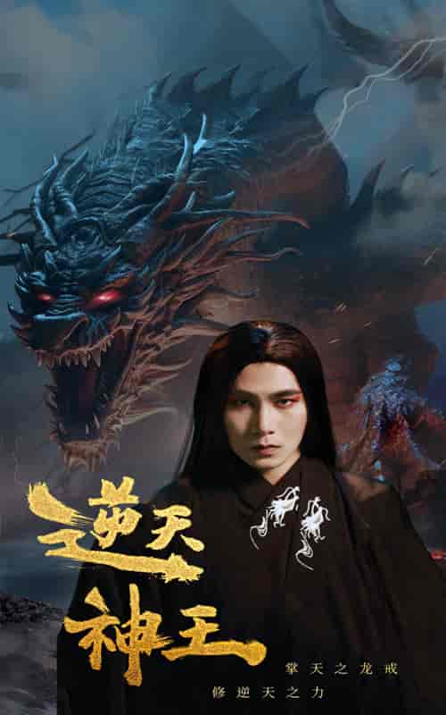 逆天神王（91集） - 海之城短剧