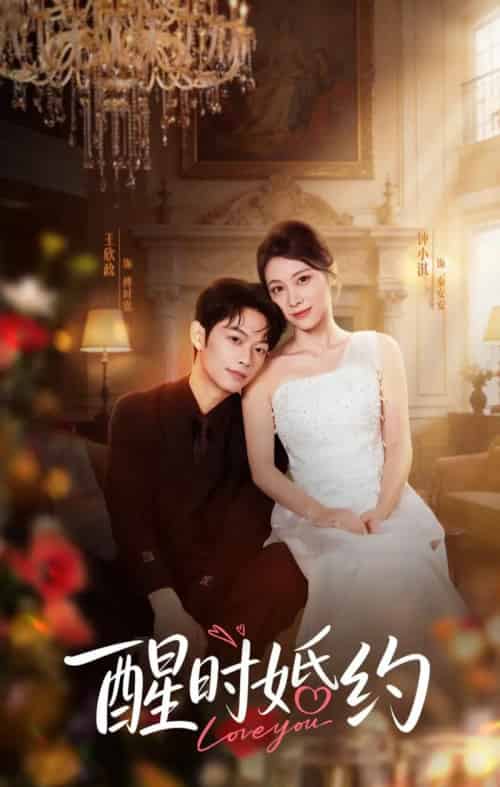 醒时婚约（65集全）王欣政＆钟小淇-海之城短剧项目