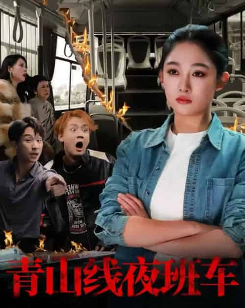 青山线夜班车（63集全）张亚迪＆魏战-海之城短剧项目