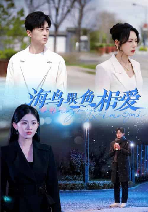 海鸟跟鱼相爱（60集全）宋云川＆温言 - 海之城短剧