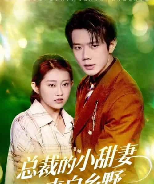 总裁的小甜妻来自乡野（127集全）何连飞＆崔馨心-海之城短剧项目