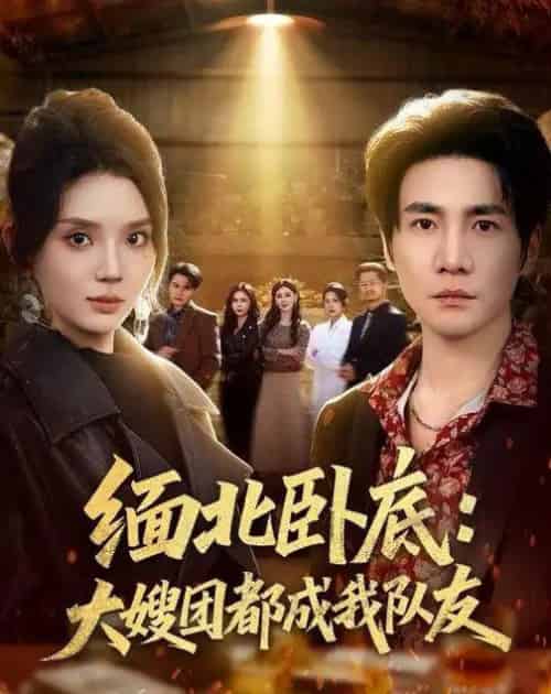 缅北卧底：大嫂团都成我队友（71集全）李想＆文静-海之城短剧项目