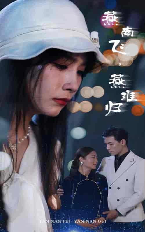 燕南飞，燕难归（31集） - 海之城短剧