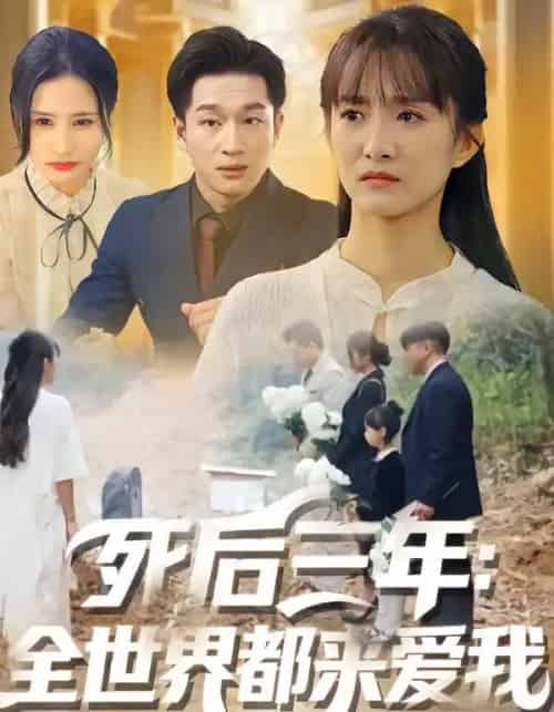 死后三年：全世界都来爱我（30集全）王斌超＆王楚-海之城短剧项目