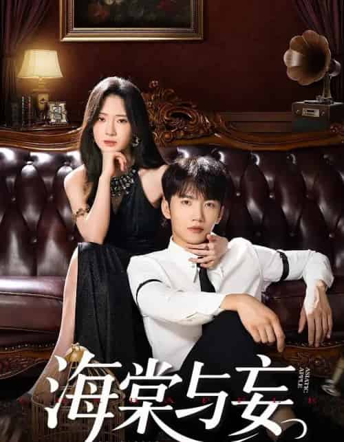 海棠与妄（81集）金佳遇＆诗越越＆王雷方＆李乐彤 - 海之城短剧