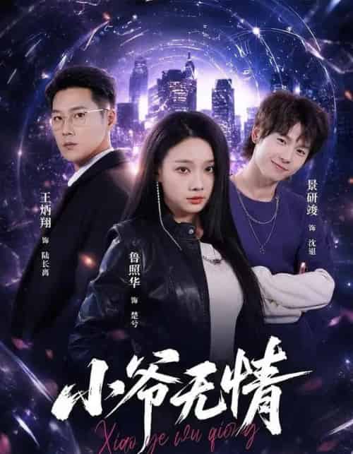 小爷无情（75集全）景研竣＆鲁照华＆王炳翔-海之城短剧项目