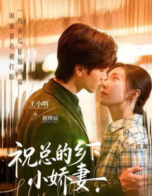 祝总的乡下小娇妻（79集全）时一＆王小明-海之城短剧项目