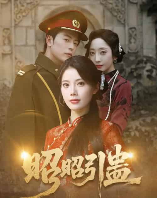 昭昭引蛊（42集）岳雨航＆苏文文-海之城短剧项目