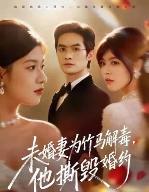 未婚妻为竹马解毒，他撕毁婚约（41集全）陈寻秋＆程新茸-海之城短剧项目