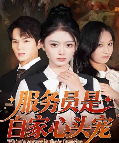 服务员是白家心头宠（80集全）汤淇钧＆王米泽-海之城短剧项目