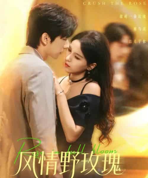 风情野玫瑰＆揉碎玫瑰（70集全）方思畅＆冯子毅 - 海之城短剧