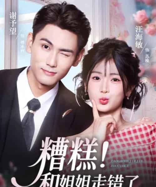 糟糕！和姐姐走错了（124集全）谢予望＆汪海敏-海之城短剧项目