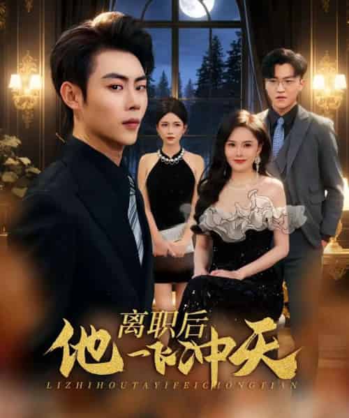 离职后他一飞冲天（80集全）肖智夫＆李姿伟-海之城短剧项目