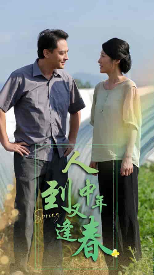人到中年又逢春（61集全） - 海之城短剧