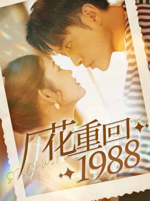 厂花重回1988（101集全）张幸运 - 海之城短剧