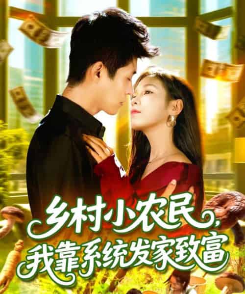 乡村小农民，我靠系统发家致富 （100集全） 朱佳琪＆韩雨轩-海之城短剧项目