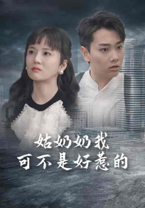 姑奶奶我可不是好惹的（100集） - 海之城短剧