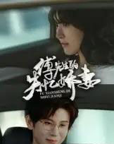 傅先生的失忆娇妻（50集）王熠南＆喻嘉林 - 海之城短剧