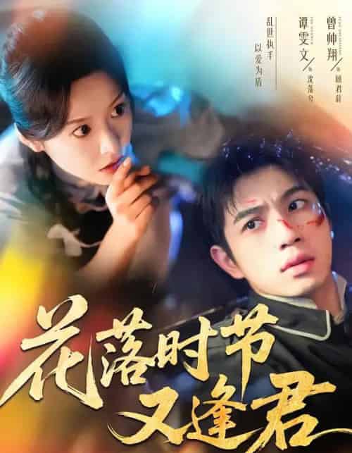 花落时节又逢君（61集全）曾帅翔＆谭雯文-海之城短剧项目