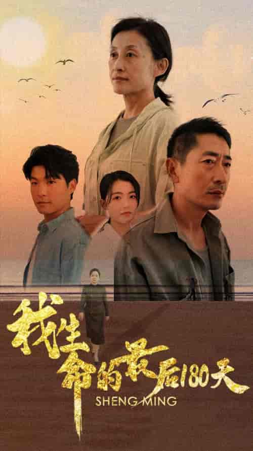我生命的最后180天（80集全） - 海之城短剧
