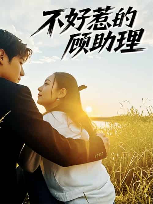 不好惹的顾助理 不好惹的顾助理
