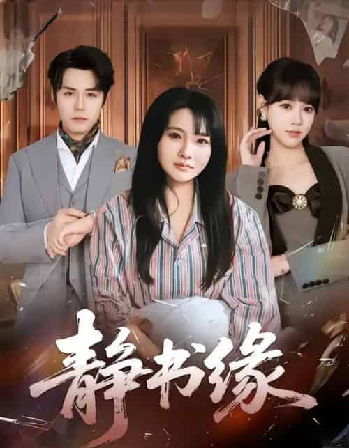 静书缘（65集全）李子园＆葛子杨-海之城短剧项目