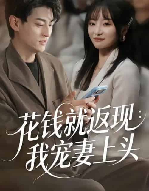 花钱就返现：我宠妻上头（80集全）王国豪杰＆刘昕岚-海之城短剧项目