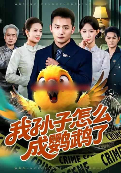 我孙子怎么成鹦鹉了（71集全）何其炜＆袁初年-海之城短剧项目