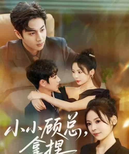 小小顾总拿捏（82集全）谷聿扬＆田珍-海之城短剧项目