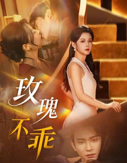 玫瑰不乖 玫瑰不乖