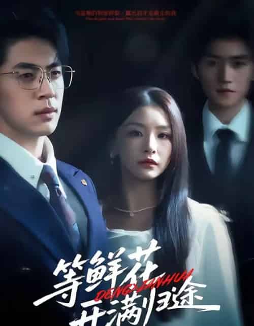 等鲜花开满归途（61集全）金锦灿＆贾金赛＆费晨曦＆瞿宇-海之城短剧项目