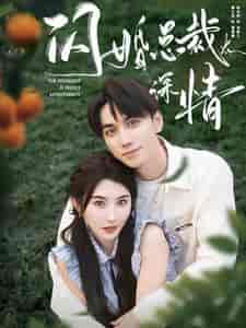 闪婚总裁太深情（93集全） - 海之城短剧