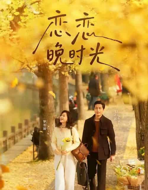 恋恋晚时光（70集全）王之民＆罗雪琼-海之城短剧项目