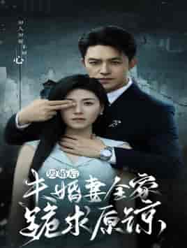 毁婚后未婚妻全家跪求原谅（30集）诸玲颖 - 海之城短剧