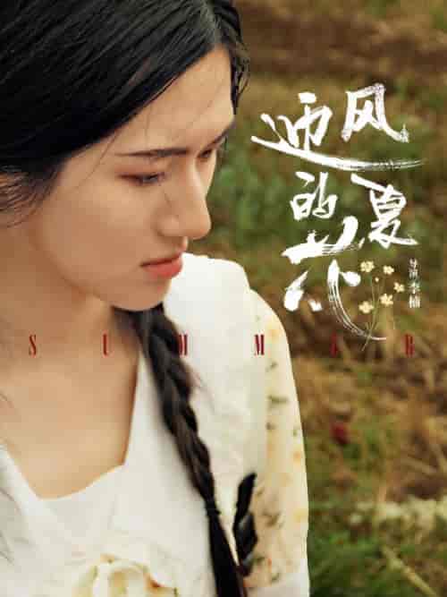 迎风的夏花（100集全）傅寒川＆乔夏 - 海之城短剧