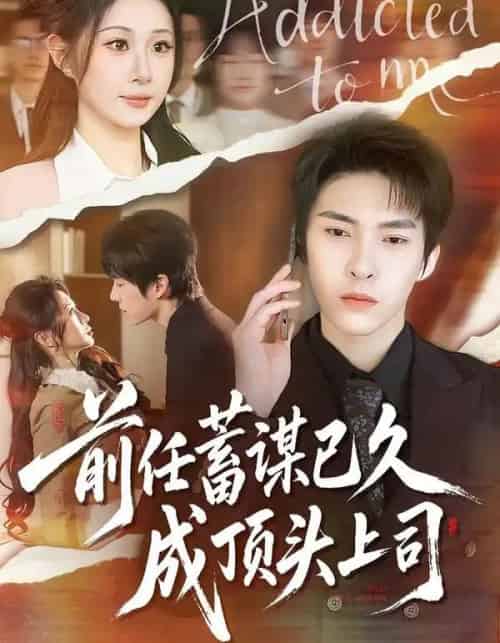 前任蓄谋已久成顶头上司（70集全）魏家乐＆张禹麟-海之城短剧项目