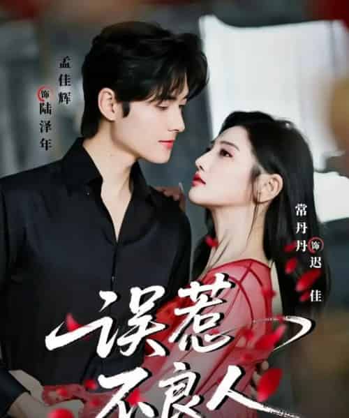 误惹不良人（65集全）常丹丹＆孟佳辉-海之城短剧项目